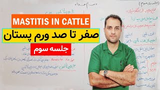 All about mastitis types of mastitis in dairy cows [upl. by Loring]