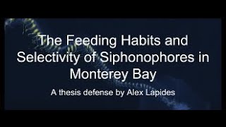 Alex Lapides presents The Feeding Habits and Selectivity of Siphonophores in Monterey Bay [upl. by Atimed543]