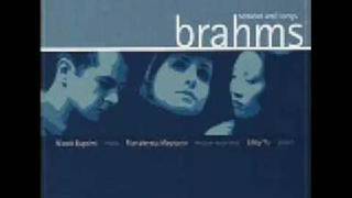 1 Brahms Sonata in E flat Op120 No2 [upl. by Aisena342]