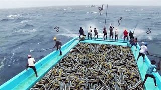 🐠🐠 मछली पकड़ने की एसी तकनीक 🦐🦐 आपने कभी नही देखी होगी  Fish Farming Process🦈🦈 [upl. by Joseito39]