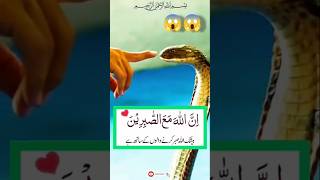 Peyare dosto ye wazifa akmartaba din me padlo🕋☝shorts viralvideo islamicstatus wazifa foryou 😱🕋 [upl. by Ahsaenat811]