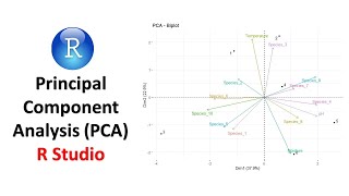 Principal Component Analysis PCA in R  Data Visualization [upl. by Llesram]