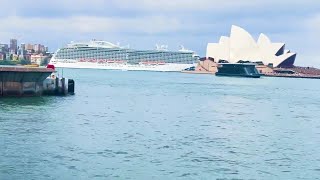 See A Cruise Ship Sails Away from Sydney port 🧡music automobilenswtourism travel [upl. by Acquah]