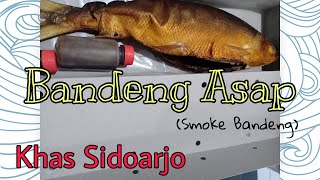 Bandeng Asap khas Sidoarjo Jawa Timur [upl. by Rellek]