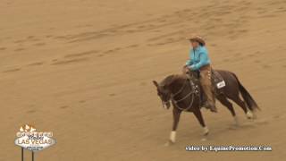 Shesa Smokin Cat ridden by Susan Schwabacher Modic  2017 NRCHA Stallion Stakes NP Hackamore [upl. by Mihcaoj143]