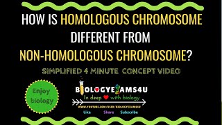 Difference between Homologous chromosome and Non homologous Chromosome [upl. by Flan]