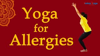 Yoga for Nasal Allergies  Sore throat  Congestion  runny nose remedy  allergic rhinitis  Bharat [upl. by Alocin]