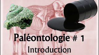 Paléontologie 1 Introduction générale [upl. by Hael]