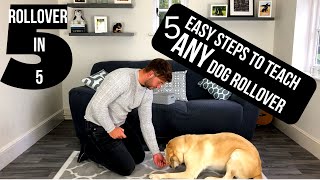 quotROLLOVERquot How to teach Rollover 5 EASY Steps [upl. by Ynnaf443]