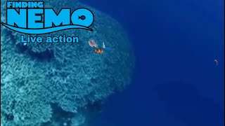 Buscando a Nemo live action parte 3 [upl. by Ezarra]