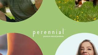 Beauty Meets Wellness Try Perennial’s Collagen Protein Today [upl. by Anatol956]