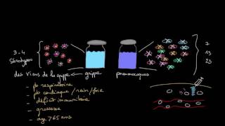 Vaccins contre la grippe et les pneumocoques [upl. by Mellitz157]