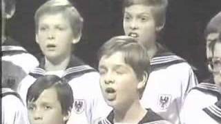 quotO Tannenbaumquot Vienna Boys Choir  Wiener Sängerknaben [upl. by Tucker348]