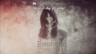 Vietsub Elephant  Damien Rice [upl. by Tobit]