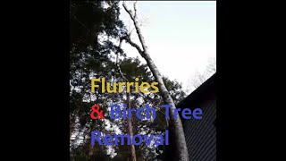 EPISODE 142 Flurries amp Birch Tree Removal [upl. by Trahern]