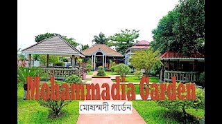 Mohammadia Garden   মোহাম্মদী গার্ডেন   DhamraiDhaka  2019 [upl. by Zetnom]