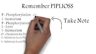 Glycolysis Metabolic Pathway Mnemonic [upl. by Durnan180]