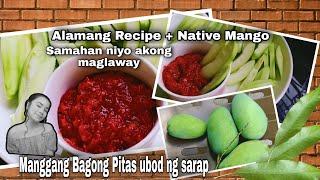 Alamang Recipe  Native Mango [upl. by Mirilla]