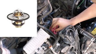 Maruti 800 Thermostat or Overheating Solution [upl. by Howarth497]