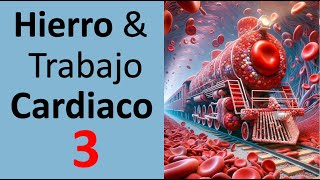 Hierro en sangre 📌 Hemoglobina ✅ Trabajo Cardiaco y Metabolismo de Hierro [upl. by Lainad]