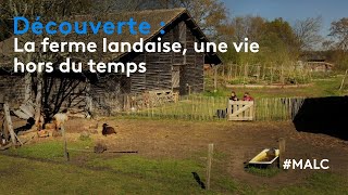 Découverte  la ferme landaise une vie hors du temps [upl. by Adilem79]