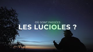 Où sont passées les Lucioles   Documentaire Pollution Lumineuse 2021 [upl. by Reisinger]