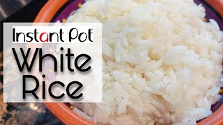 How to make PERFECT RICE in the Instant Pot [upl. by Negeam817]