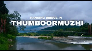 Beautiful Hanging Bridge in Thumboormuzhi  Chalakudy River  Travel Video [upl. by Agace]