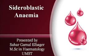 Sideroblastic Anaemia [upl. by Linkoski]