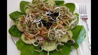 Bettys Mung Bean Sprout Salad [upl. by Barnie513]