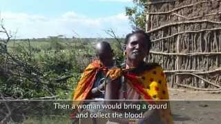 Maasai Voices on Climate Change A Participatory Video [upl. by Nollek]