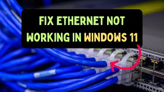 How to Fix Ethernet Not Working in Windows 11 [upl. by Calondra]