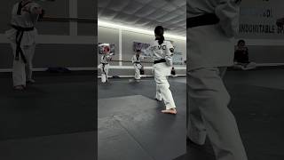 Taekwondo Poomsae Drills poomsae [upl. by Adnilra]