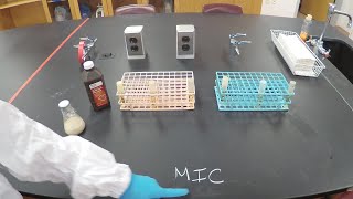 Minimal Inhibitory Concentration MIC and Minimum Bactericidal Concentration MBC  Microbiology [upl. by Haet234]