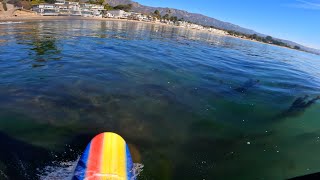 POV SURFING MIRAMAR BEACH SANTA BARBARA CA 1110244K LONGBOARDING [upl. by Nylecyoj778]