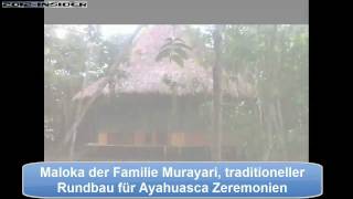 Kreis der Hüter Ayahuasca Zeremonie Peru Reinigung der Seele Alexander Gottwald Angelina Pau Hana [upl. by Fried]