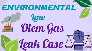 Oleum Gas Leak Case  Environmental Law [upl. by Egnalos]