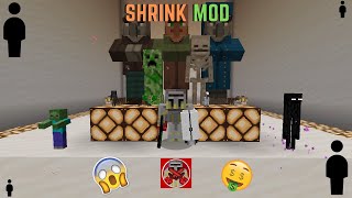 Mod Showcase 38 Shrink Mod Minecraft 1165 [upl. by Alejandrina]