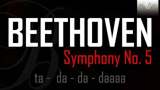 Beethoven Symphony No 5 [upl. by Monahan]