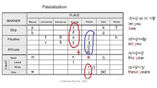 Palatalization in English [upl. by Wernda]