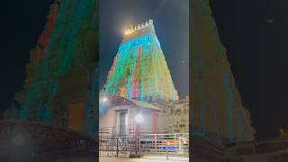 Srisailam Temple 🛕 2024 srisailamtrendingshorts [upl. by Nnairam]