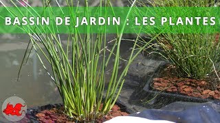 Bassin de jardin  Plantes aquatiques [upl. by Leff]