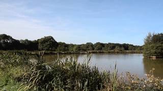 HIGHAMPTON LAKE HIGHAMPTON HOLSWORTHY DEVON [upl. by Yslek]