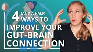 How to Fix Your BrainGut Connection Anxiety and the BrainGut Microbiome Axis [upl. by Leidba]