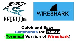 Quick and Easy Commands for Tshark Terminal Version of Wireshark [upl. by Phedra]