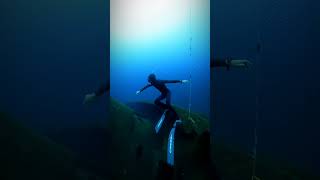 tenerife apnea freediving ocean canarias tenerife4k underwater wreck oceano [upl. by Kerat]