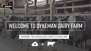 New York Dairy Welcome to Dykeman Dairy Farm [upl. by Nosaes225]