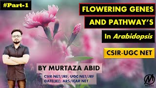 Flower Development Genes And Pathways in Arabidopsis thaliana  CSIRNET ICMR DBT Gate MSc [upl. by Ynehteb]