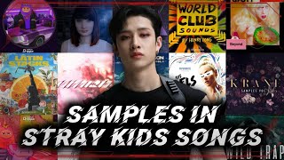 SamplesInterpolations in Stray Kids amp 3RACHA Songs [upl. by Moreville]