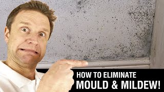 How to Paint over Mould amp Mildew [upl. by Nnaegroeg]